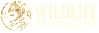 Wilpattu Wildlife Explore